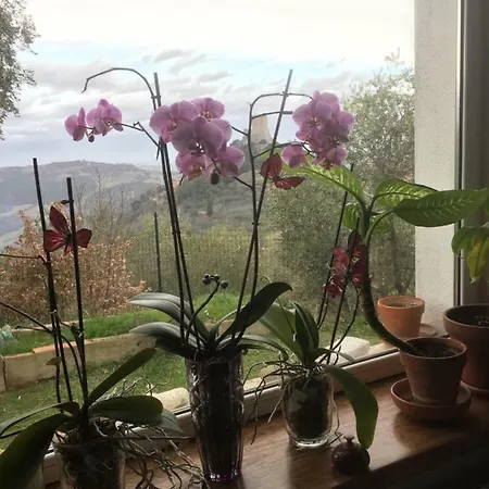 Le Due Torri Castiglione d'Orcia